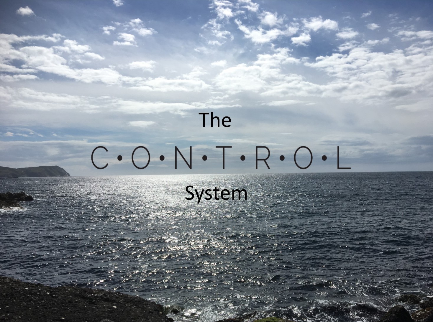 The Control System treatment space